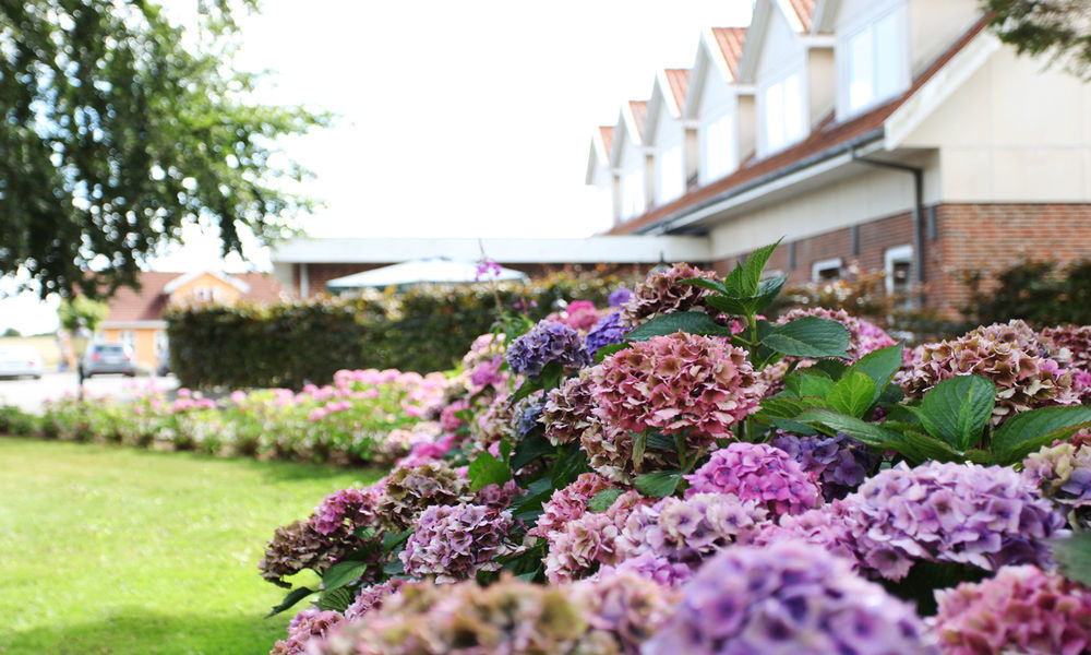 Fangel Kro & Hotel Bellinge Dış mekan fotoğraf